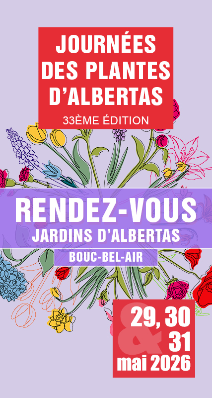 Vente d'olivier, plants d'oliviers, olivier, fête des plantes, foire aux plantes