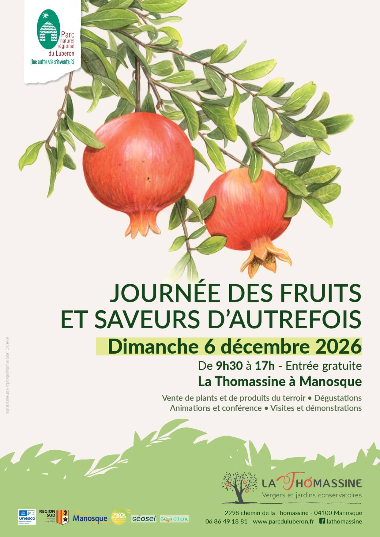 Thomassine, pépinière, fête des plantes, plants d'olivier, plants de fruits rouge, vente de plantes