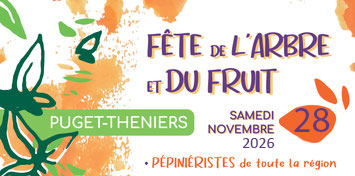 Vente de plants de fruits rouge, vente de racines nues, vente de plants d'olivier, plants d'oliviers